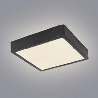 Stropnica 12369-15 LED 15W 14,5X14,5 Čierna PL1